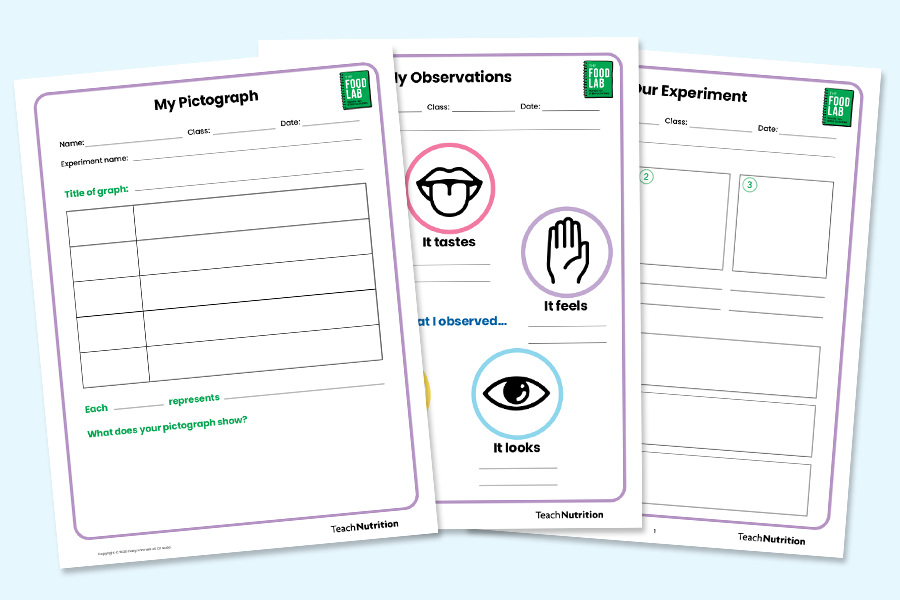 Grades K–6 Student Activity Pages