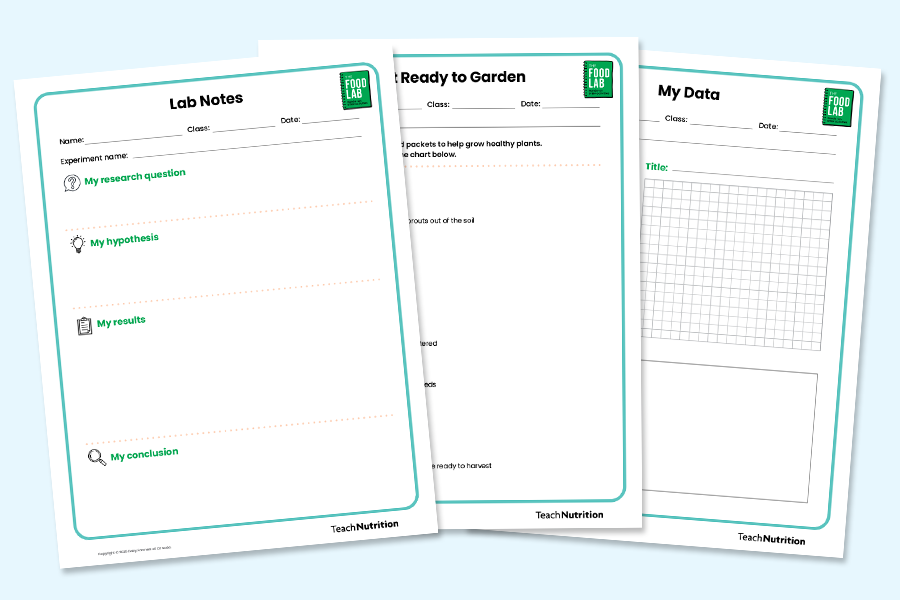 Grades 7–12 Student Activity Pages