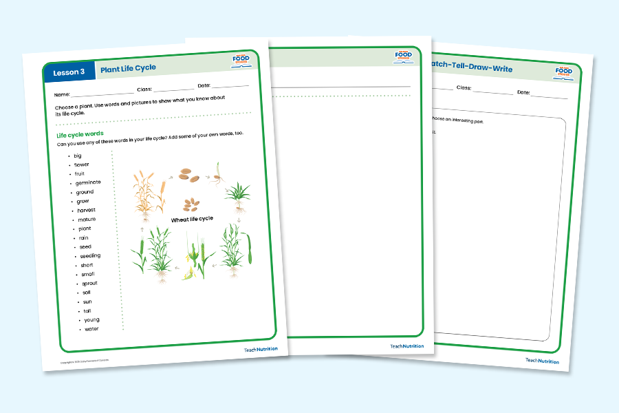 Sharing Food Stories Series 2: Student Worksheets