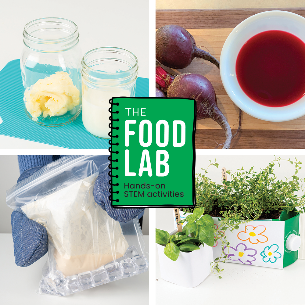 The Food Lab – STEM Activities for Grades K–12 